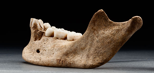 Jamestown-Cannibals-main-631