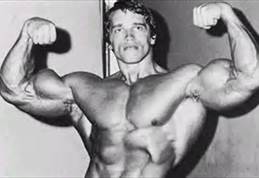 Arnold