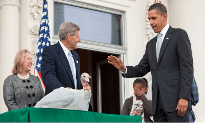 Obama turkey
