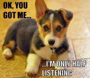 Half listening