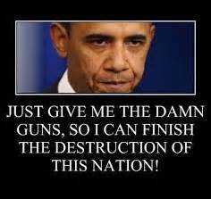 obama and guns