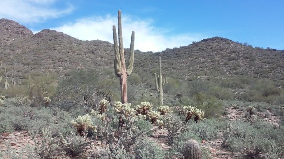 To the natives no big deal. To a girl from MO...weird. 