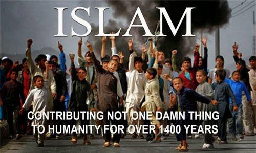islam-contributions